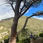 شقة فندقية Il Giardino Di Gaia 3*