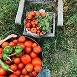 Il Giardino Di Gaia شقة فندقية