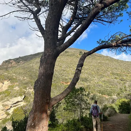 아파트호텔 Il Giardino Di Gaia 3*