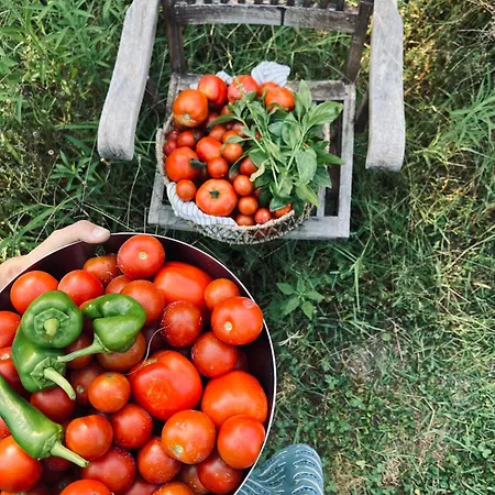 Il Giardino Di Gaia 아파트호텔