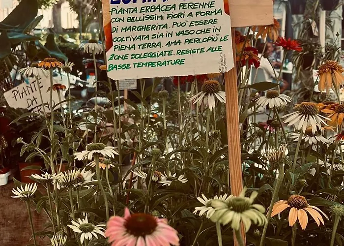 Hotel apartamentowy Il Giardino Di Gaia 3*