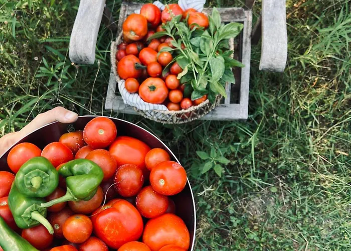 Il Giardino Di Gaia Hotel apartamentowy