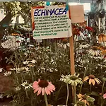 Hotel apartamentowy Il Giardino Di Gaia 3*
