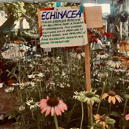 Apartmanhotel Il Giardino Di Gaia 3*