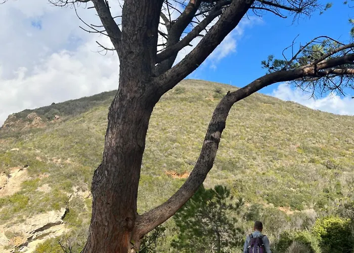 Aparthotel Il Giardino Di Gaia 3*